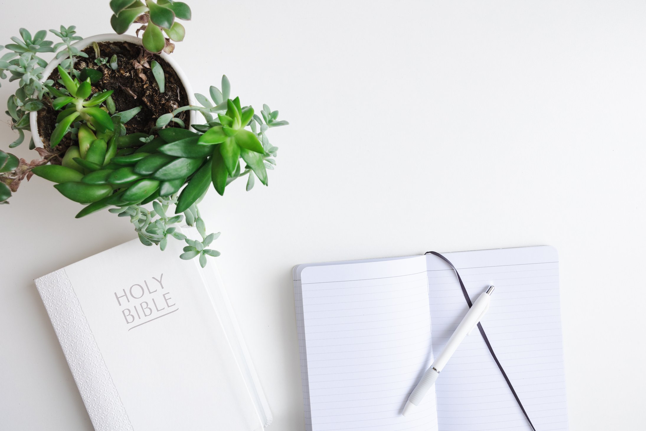 Bible, open journal and plant on white desk